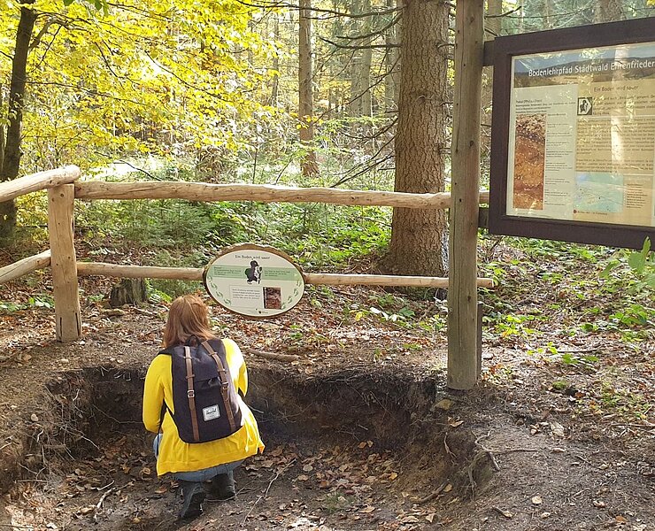 Bodenlehrpfad Stadtwald Ehrenfriedersdorf (Corinna Bergelt)