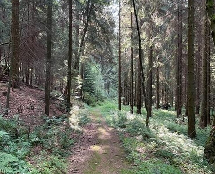 Pilgerweg zum Andreas-Gegentrum-Stolln (Michael Gürtler, Stadt Jöhstadt)