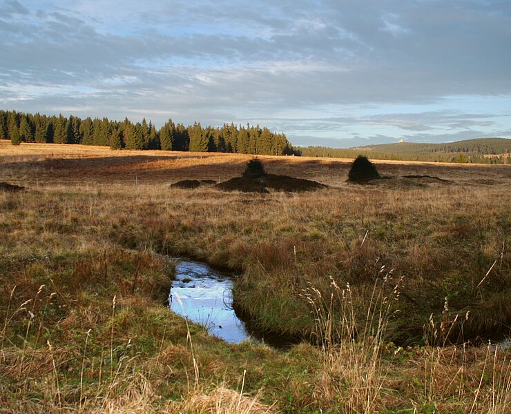 Bergbaulandschaft Gottesgab - Raithalden (WFE GmbH Annaberg-Buchholz)