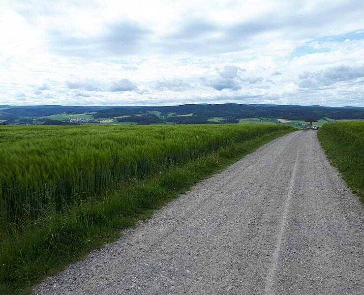 Blick zum Aussichtspilz ()
