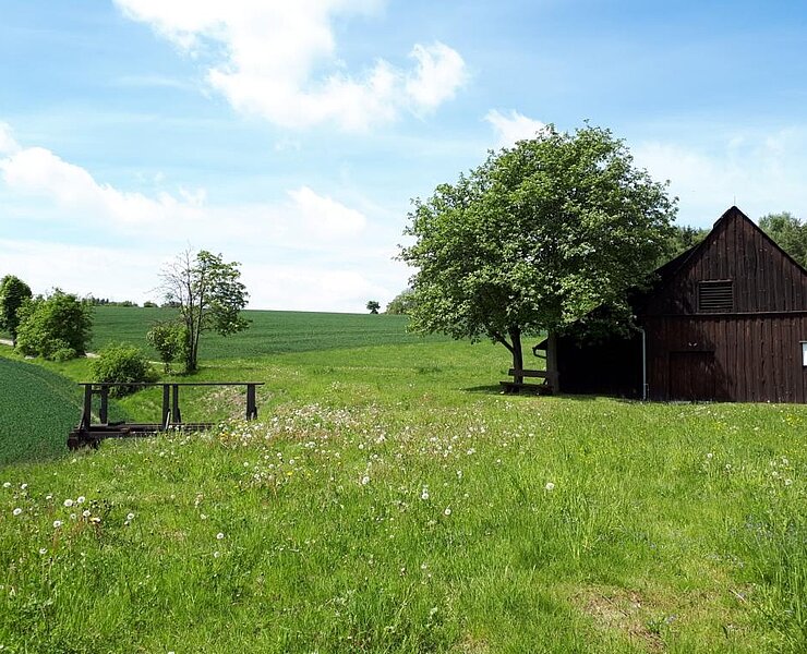 Fundgrube Sauschwart (Koordinator Städtebund Silberberg)