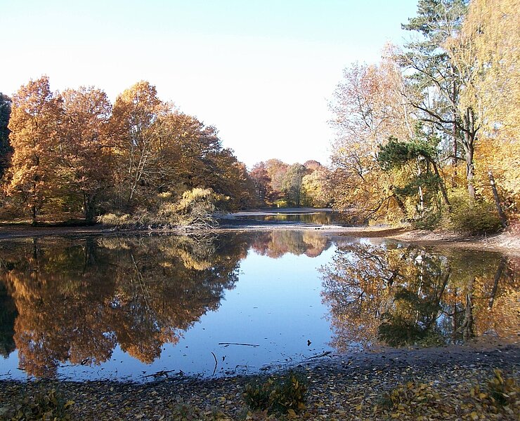 Stadtpark Chemnitz (Caroline Langer)