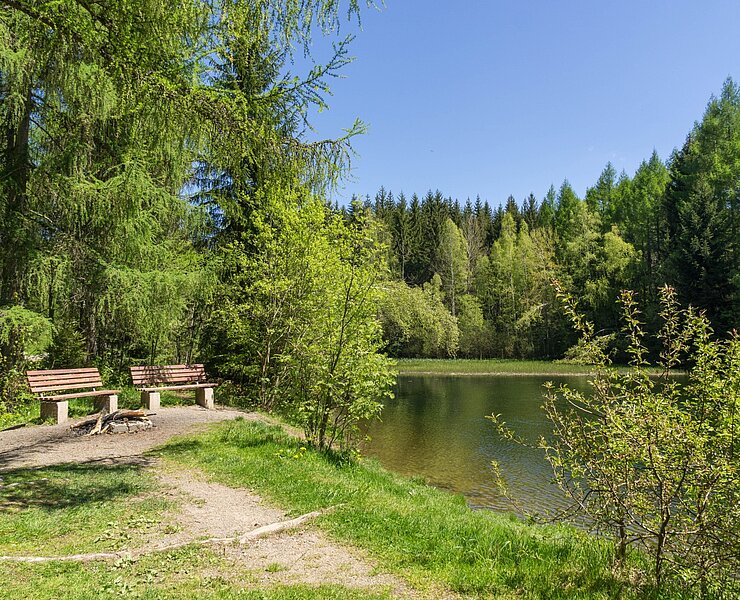 Forstteich (Tobias Rudelt)