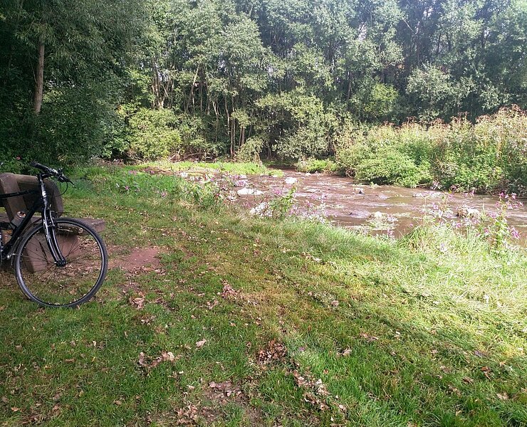 Lungwitzbach ()