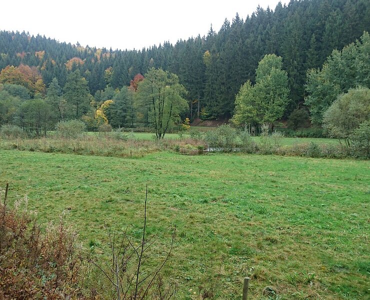 Preßnitztal (Online TVE)
