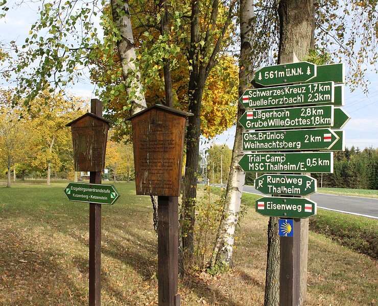 Wanderwege an der Tabakstanne (Vanessa Schüppel)