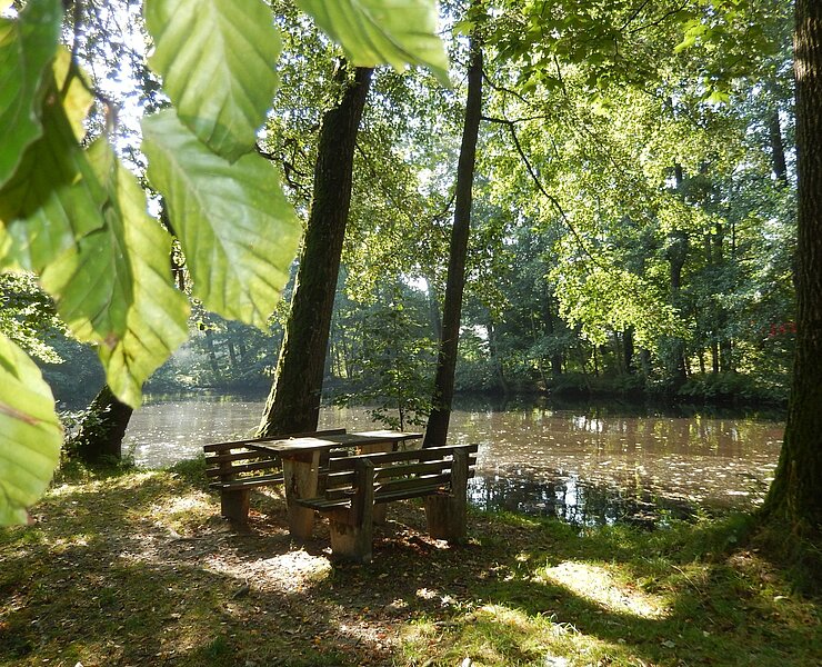 Hammerteich (Stadt Zwönitz)