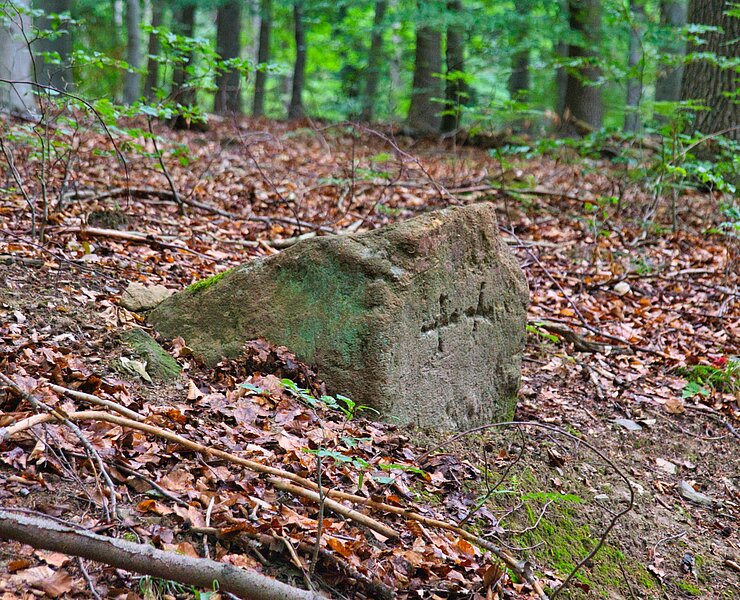 "Templerstein" Sörnzig (Bastian Rakow)