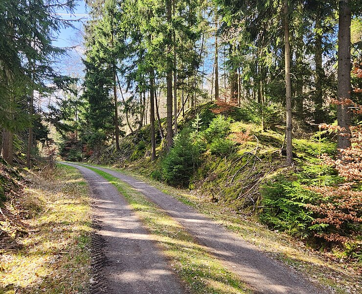 Die alte Bahntrasse neu freigelegt (Steffen Thränert, Natur- und Landschaftsführer)