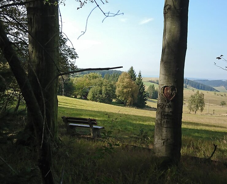 Impressionen am Wegesrand (Ingrid Meyer)