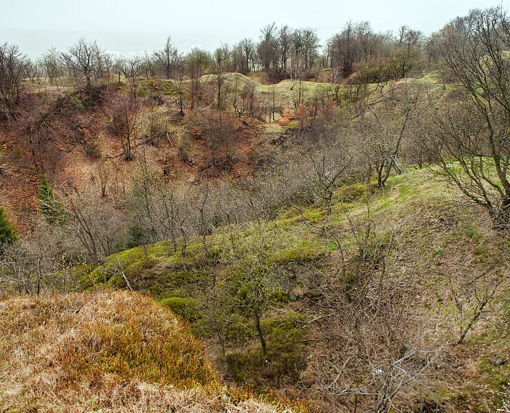 Bergbaulandschaft Mückenberg - Große Pinge (WFE GmbH Annaberg-Buchholz)