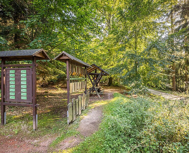 Baumarten erraten an der Holzstation (Fresia Photography)