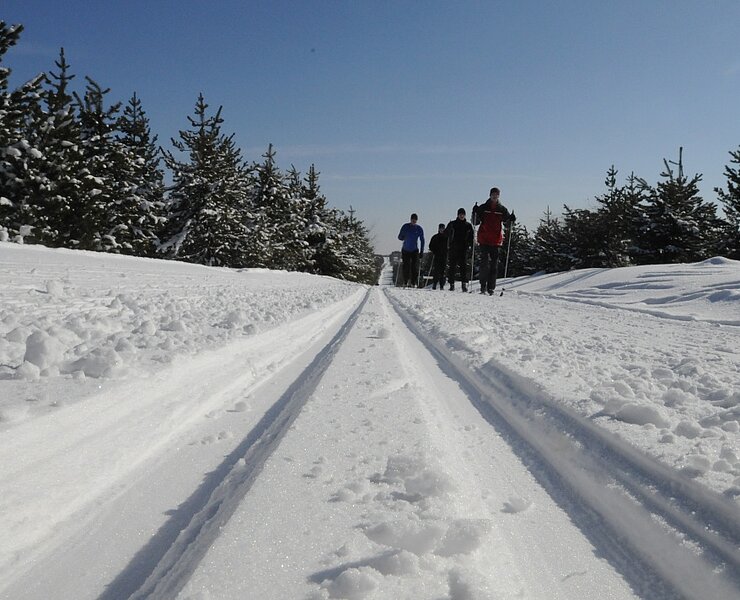 Skifahrer in der Loipe (Egbert Kamprath)