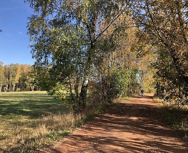 Eisenweg Tabakstanne Thalheim (Vanessa Schüppel)