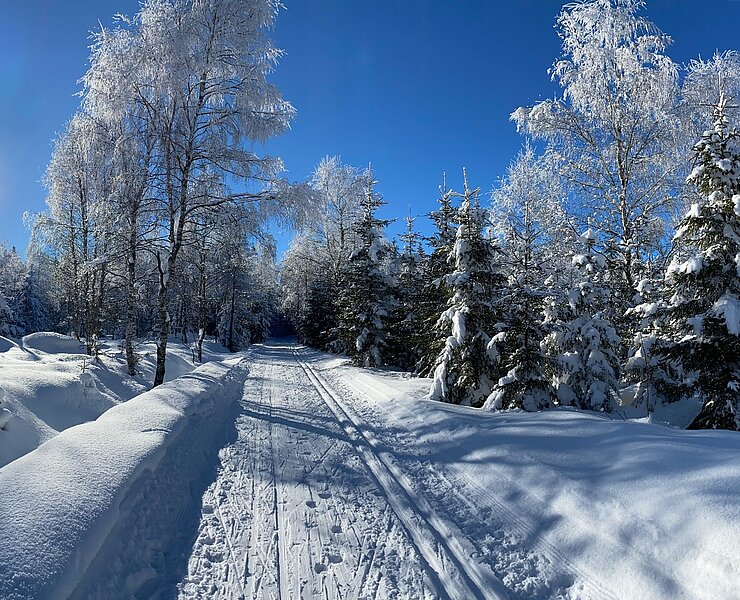 Loipe L2 - Richtung Schellerhau Winter ()