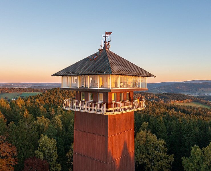 König-Albert-Turm im Spiegelwald (Martin Strnad)