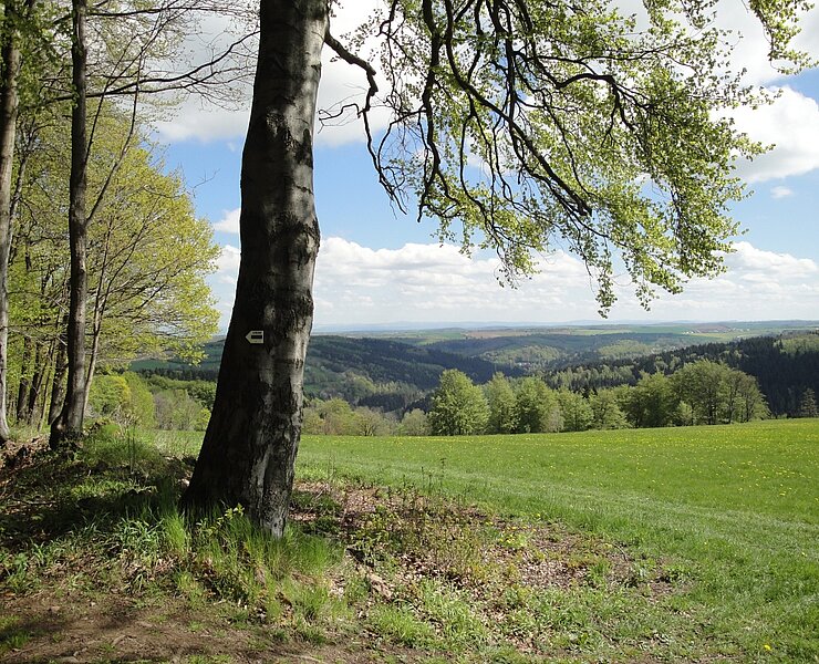Vom Geisingberg (Birgit Knöbel)