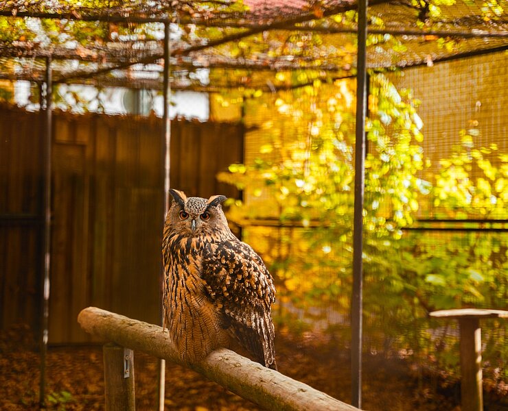 Tierpark Geithain (Oliver Göhler)