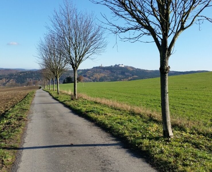 Fernwanderweg und Kleiner Rundweg Erdmannsdorf - Blick zu Schloss Augustusburg (Doreen Fiebig)