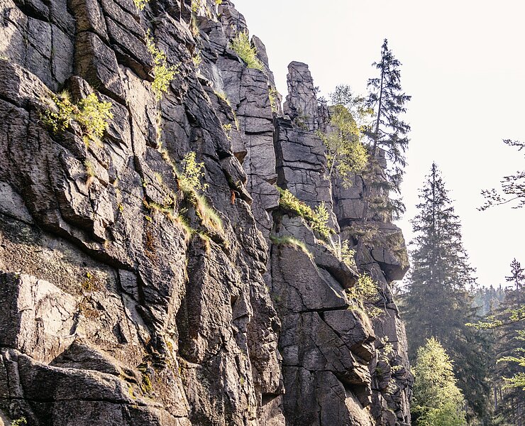 Abstecher ins Schwarzwassertal (Franziska Consolati)
