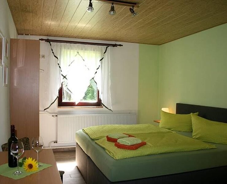 Pension Waldschänke Geyer (Ellen Gerlach)