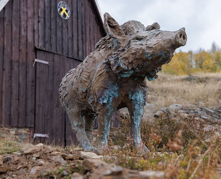 Wildschwein von Carl Emanuel Wolff (Phototron - Ronny Küttner)