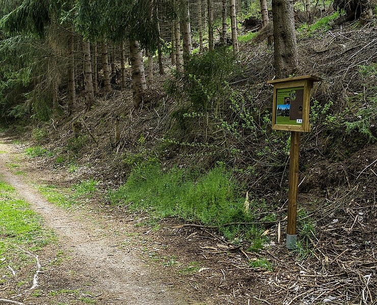 Wanderweg mit Infotafel (Thomas Müller)