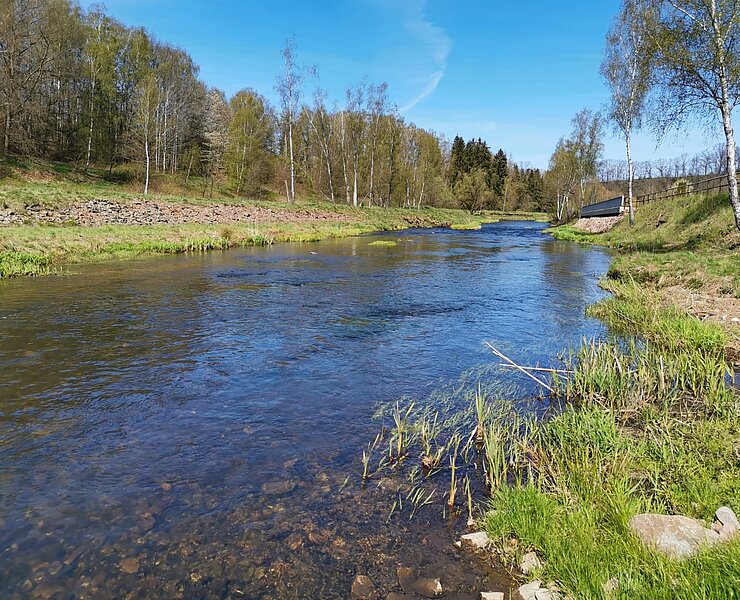 Freiberger Mulde (Jasmin Faust, Silberstadt® Freiberg)