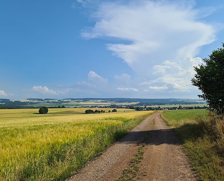 Blick vom Schneckenberg (Gemeinde Jahnsdorf)