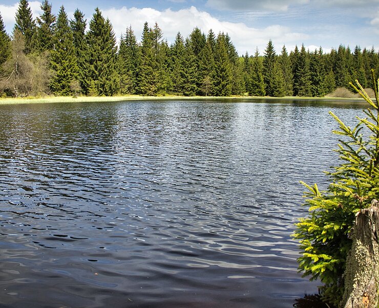 Wüster Teich ()