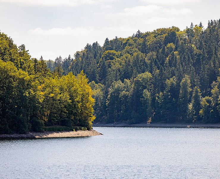 Talsperre Lehnmühle Osterzgebirge (Tourismusverband Erzgebirge e.V./Martin Donat)