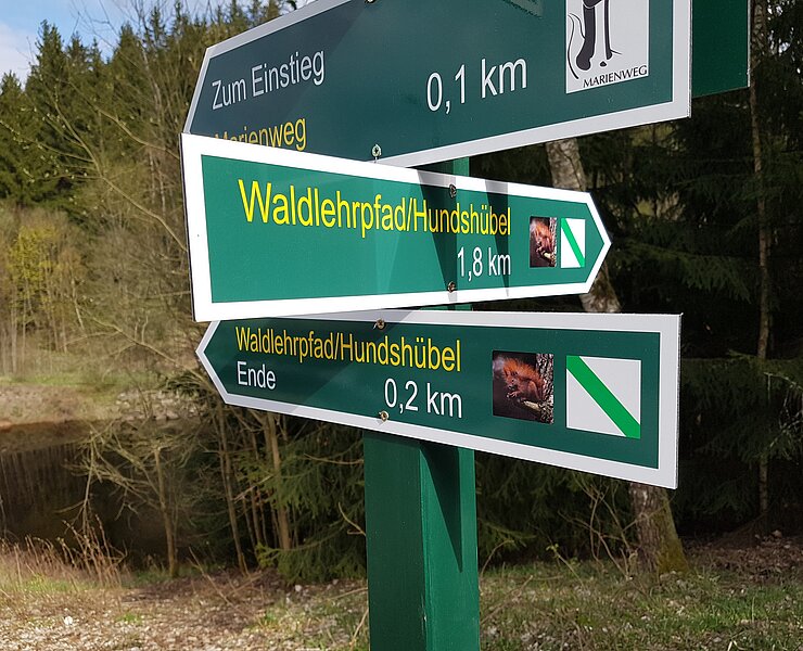 Waldlehrpfad Hundshübel (Thomas Müller)
