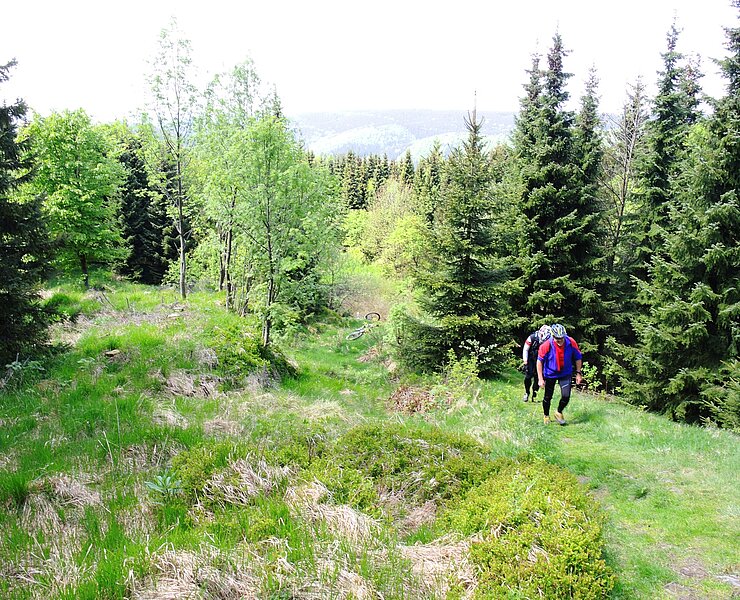 14 Achttausender im Osterzgebirge - Steinkuppe ()