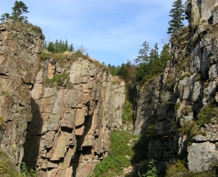 Wolfspinge (M. Urban)