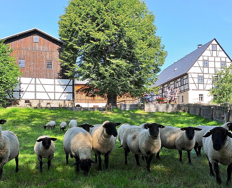 Frontansicht des Dreiseitenhofes (Sonja Reupert, Stadt Oederan)