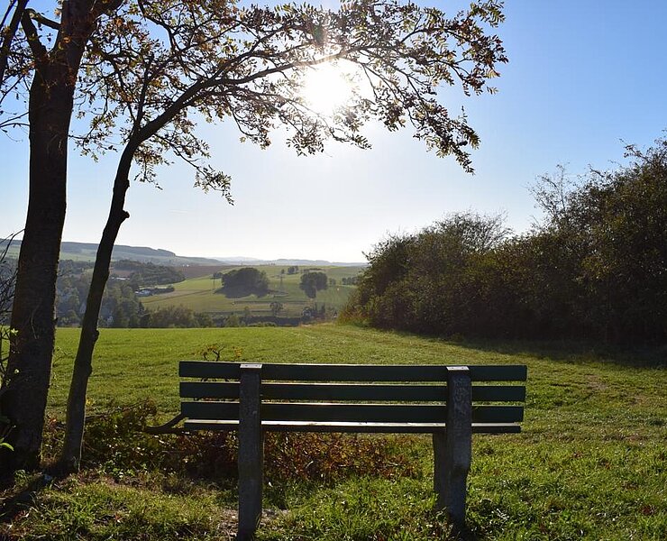 Bank am Auerbacher Rundweg (Corinna Bergelt)