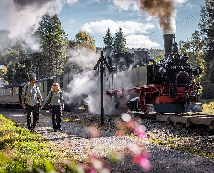 Preßnitztalbahn unter Dampf (Philipp Herfort)