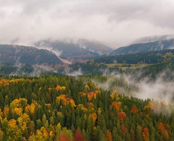 Luftbild der Region Eibenstock (Martin Strnad)