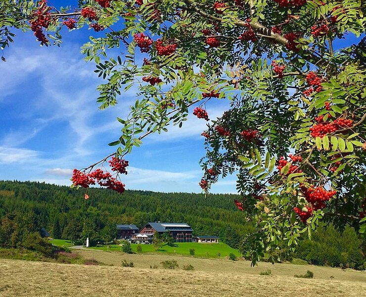 Hotel im Herbst ()