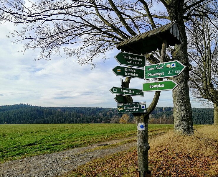 Auf dem Weg zum Hohen Brand, Kipsdorf ()