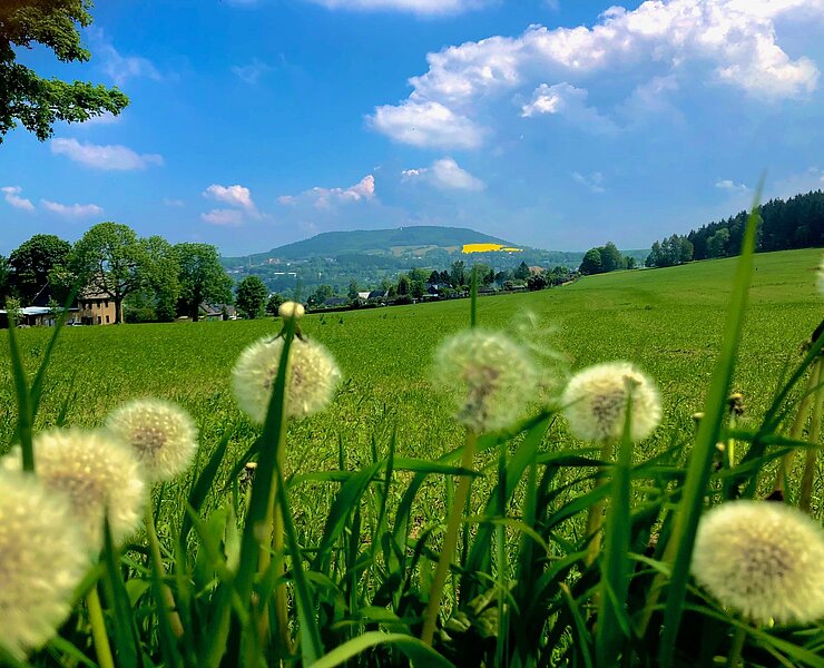 Blick vom Firstenweg Richtung Annaberg-Buchholz mit Pöhlberg im Hintergrund (Andreas Göbel)