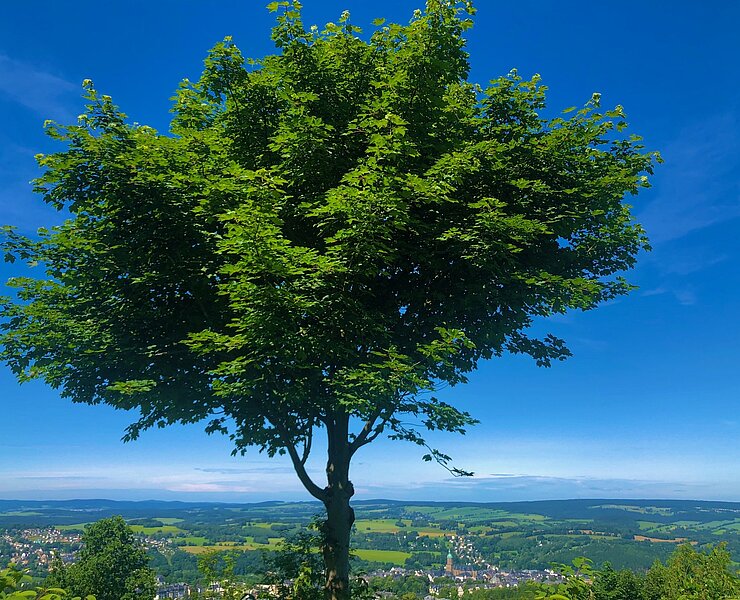 Blick vom Pöhlberg auf Annaberg Buchholz mit St. Annen Kirche (Andreas Göbel)