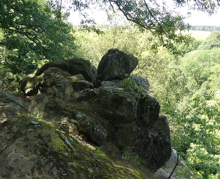  (Steffen Thränert, Natur- und Landschaftsführer)
