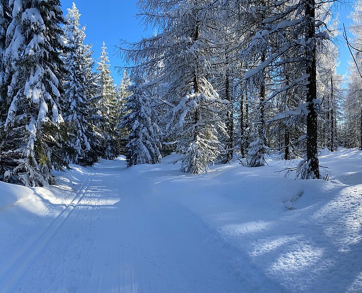Loipe L3 Pöbelknochen Winter ()