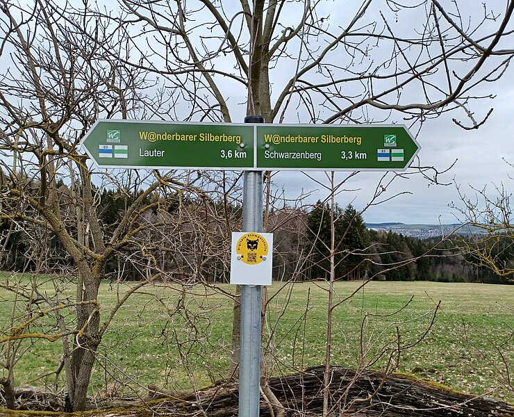 digitale Stempelstelle Neunstämmige Buche (Wanderbarer Silberberg PM)