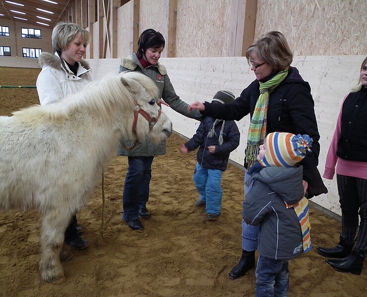 Pony in der Reithalle ()
