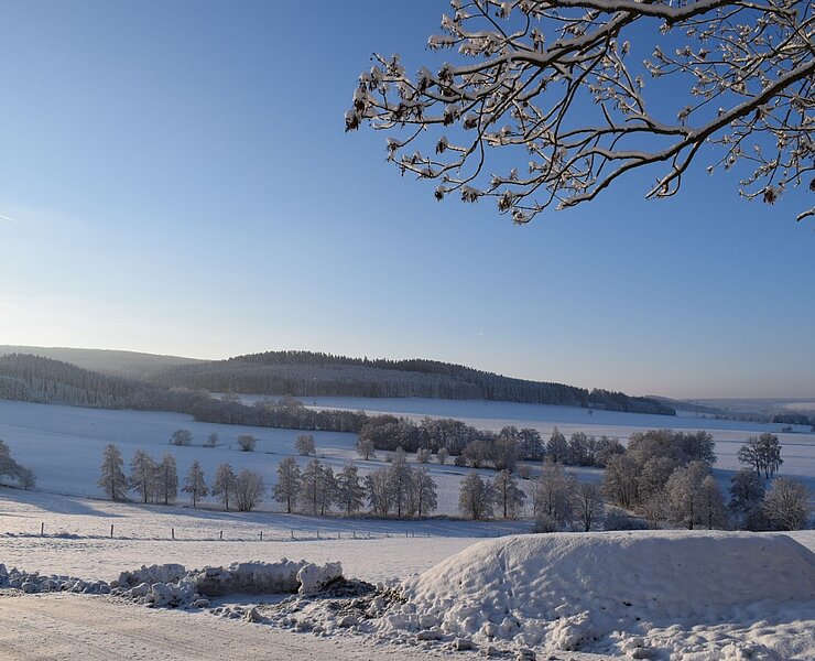Winterlandschaft Zwönitz OT Dorfchemnitz (Vanessa Schüppel)