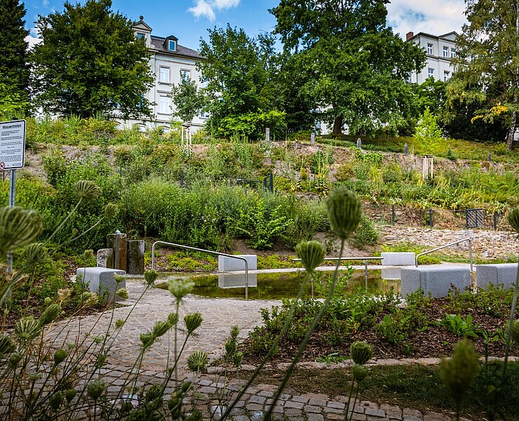 Seminargarten Zschopau (Stadt Zschopau Schloss Wildeck)