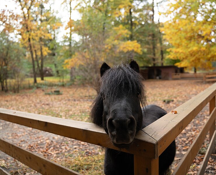Tierpark Geithain (Oliver Göhler)