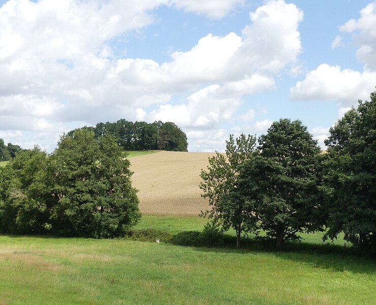  (Steffen Thränert, Natur- und Landschaftsführer)